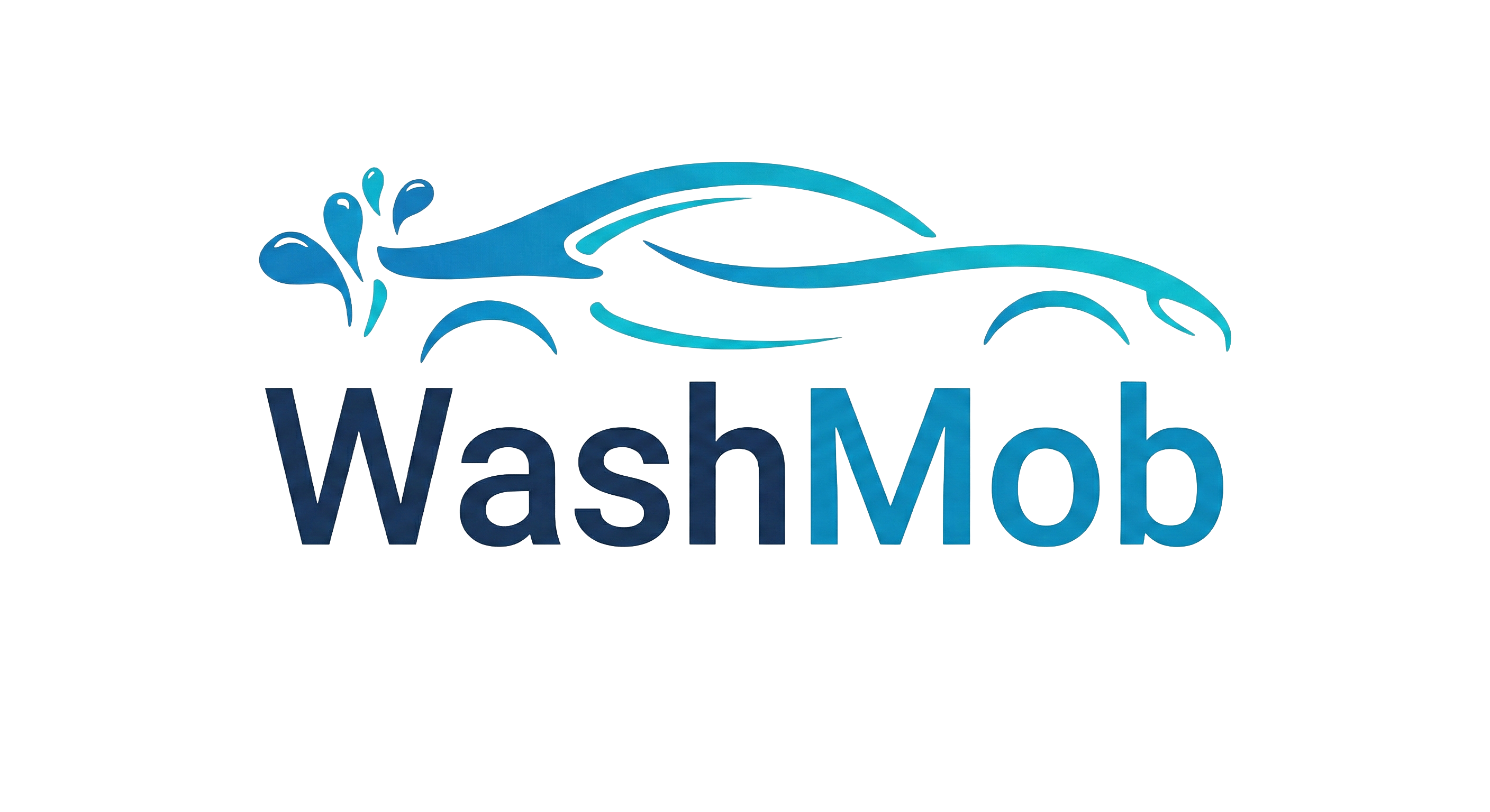 Logo Washmob